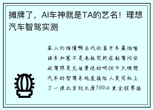 摊牌了，AI车神就是TA的艺名！理想汽车智驾实测
