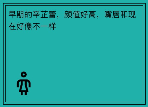 早期的辛芷蕾，颜值好高，嘴唇和现在好像不一样