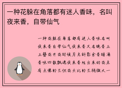 一种花躲在角落都有迷人香味，名叫夜来香，自带仙气