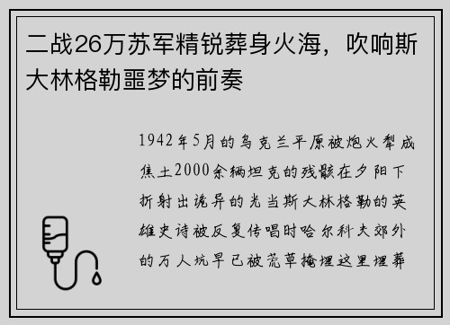 二战26万苏军精锐葬身火海，吹响斯大林格勒噩梦的前奏
