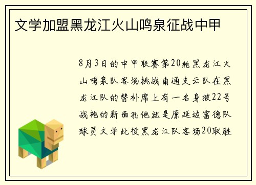 文学加盟黑龙江火山鸣泉征战中甲